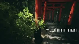 Most Chill Game Ever - Fushimi Inari | Unreal Engine 4