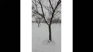 Падает снег...