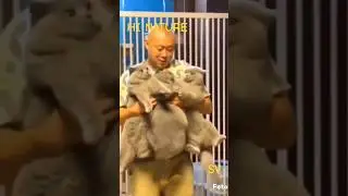 #cat
