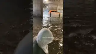 Fırtına ve yağmur sonrası Ankara 😁 