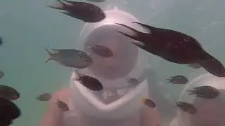 #thailand