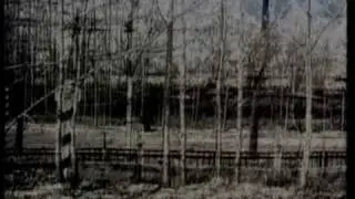 S.T.A.L.K.E.R. Tribute