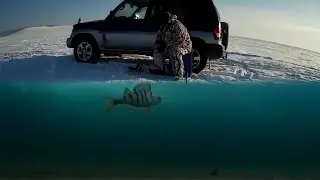 Окунь  Балансир vs мормышка  Подводная съемка