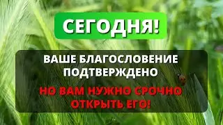 🌟 БОГ БЛАГОСЛОВИТ ВАС, ВАШЕ БЛАГОСЛОВЕНИЕ ПОДТВЕРЖДЕНО, ОТКРОЙТЕ ВИДЕО, ЧТОБЫ ПОЛУЧИТЬ