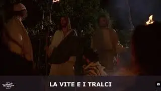 Lo scopo di Dio non è quello di farci soffrire.| Un miracolo ogni giorno.
