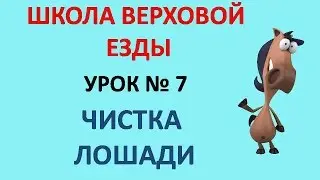 Чистка лошади