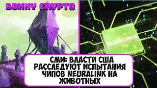 СМИ: власти США расследуют испытания чипов Neuralink на животных