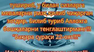 Мани масхара килиб ётишибди...Фозил кори