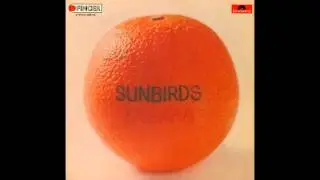 ☮☮  ✑✑✑  KRAUTROCK ❀❀❀  sUNBIRDS ZAGARA  ==== ♜  African Sun and Zagara == 1972