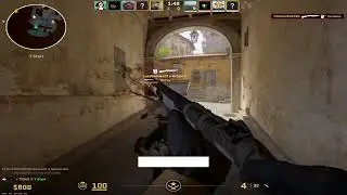 toogas and lous insanities 4