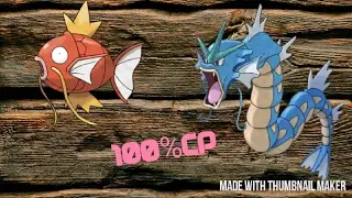 MAXED CP GYARYDOS FOR LEVEL 24 TRAINERS.POKEMON GO EVOLOUTION SPREE.