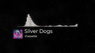 DJ 🎧 • Silver Dogs