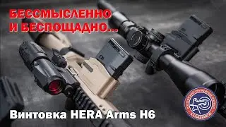 Бессмысленно и беспощадно  Винтовка HERA Arms H6