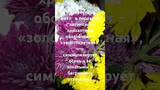 #интереснознать #цветы #информация