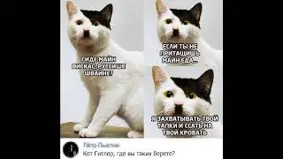 хз