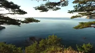 ВЭФ 2019. Улица Дальнего Востока