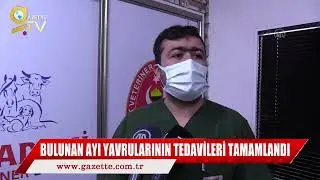 KARAFASIL KÖYÜNDE BULUNAN BOZ AYI YAVRULARININ TEDAVİSİ SÜRÜYOR