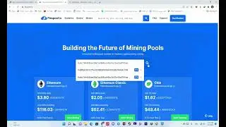 استخر فلکس پول_flexpool.io