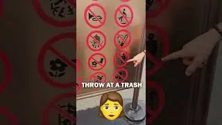 Please Don't Ask WHAT THE DOG DOIN?! 🤦 |CPG 