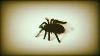 Galaxie - Tarentule (Official videoclip)
