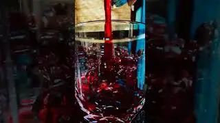 Осваиваю профессию "Видеомейкер"