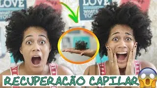 MEU CABELO DETONOU  | Rose Hapuque