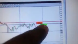 Make $800 A Day Trading Forex! Video Proof
