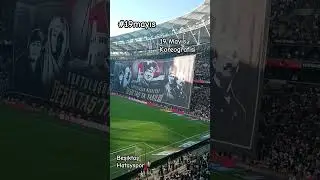 19 Mayıs koreografi #beşiktaş