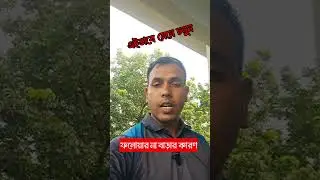 online income tips for Facebook ফেসবুক থেকে ইনকাম করুন #reels #reelsfb #trendingreels #reel #trend
