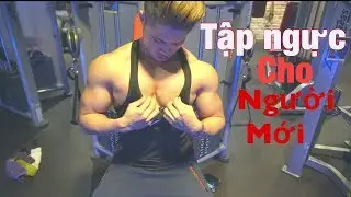 Cách Tập Ngực Hiệu Quả Nhất Dành Cho Người Mới Bắt Đầu | Giáo Án Tập Cho Người Mới - Buổi 1: Ngực