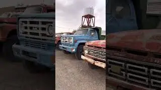 تشليح السلامه في مدينه بريدة