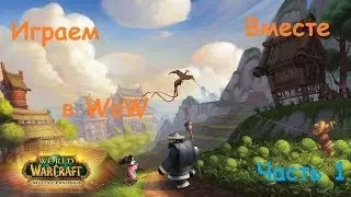 Играем в WoW часть 1