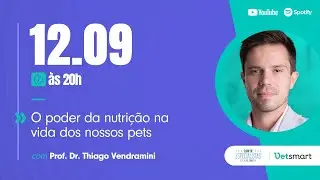 O poder da nutrição na vida dos nossos pets