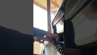 Crushing some squirrels - Saint-Saëns
