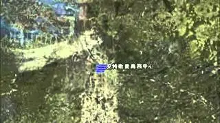 台北進入歐洲的大門 安特衛普ABC Services