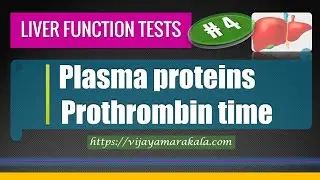 Plasma proteins and Prothrombin time: LFTs: Part 4