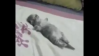 qxqxqxqxqxqxq