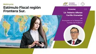 Estímulo Fiscal Región Fronteriza Sur.