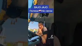 BAJO-JAJO