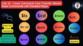 Lab 12 - Become A Linux Command Line Pro: Master Basic Commands With Step-by-step Instructions