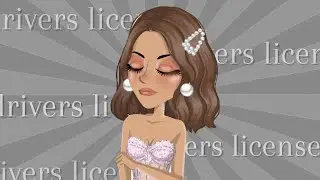 drivers license ~ MSP version