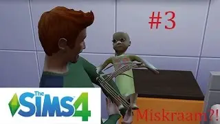 Sims 4 #3!| Met Borek| Een miskraam?!