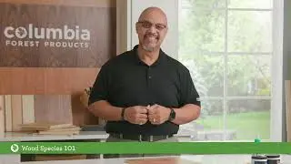 CFP’s Wood Species 101 | Full Length