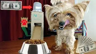 DIY Puppy Dog Food Dispenser from Cardboard at Home 2