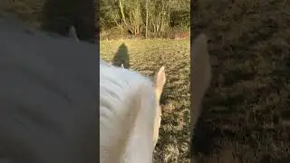 A view from Ghost