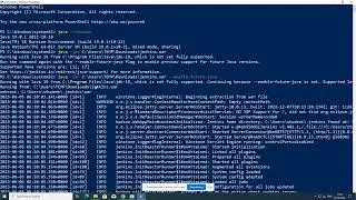 jenkins installation on windows through terminal(power shell)