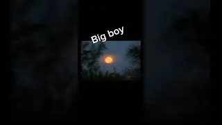 музыка 🎧