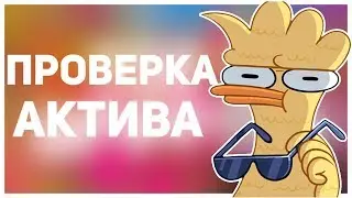 ПРОВЕРКА АКТИВА