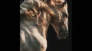 (free) Kanye West x TLOP x Sapjer type beat 