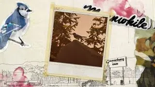 Life is Strange (Episode 1: Chrysalis) - Maximum Aperture / Light Leak [Photo #9/10]